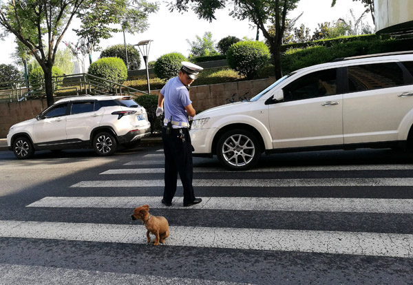 衡国良:手机摄影随手拍不是随意拍|2019人民摄影捷宝手机摄影月赛九月张榜