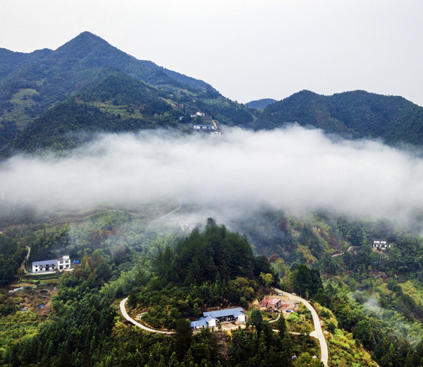 艰辛上学路:一条渴望被照亮的梦想之路