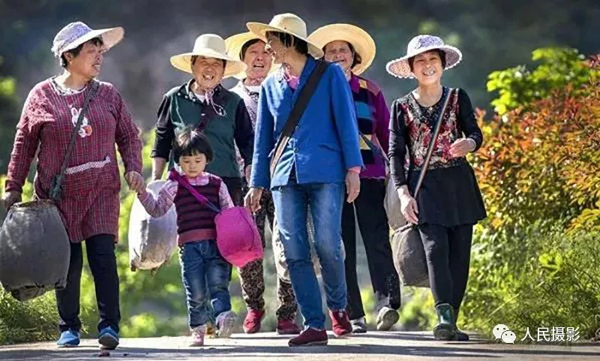 走进魅力茶乡|首届“美丽茶乡·舒城”全国摄影大赛征稿启事