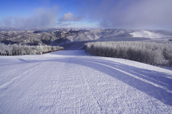 林海雪道[罗力]银装素裹[罗力]雪道剑影[罗力]