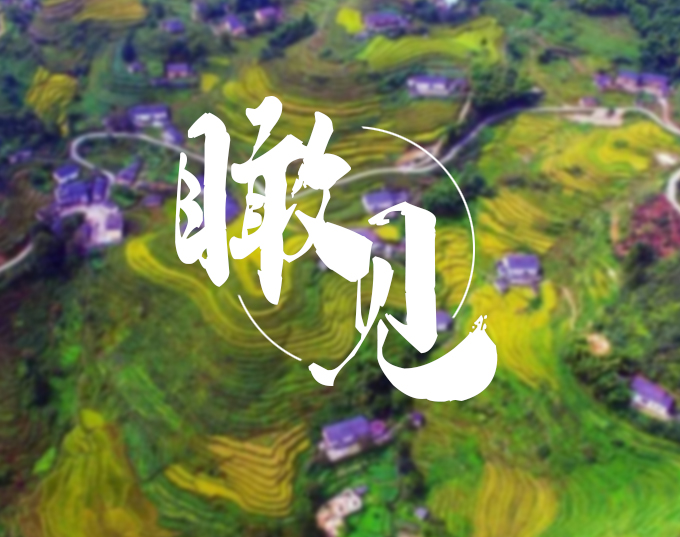 
									瞰见｜图片征集